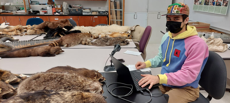 NMU student in classroom with fur