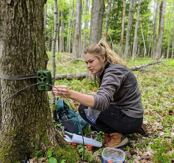 NMU student in woods with tree